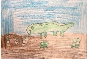 alligator drawing